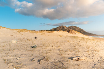 Basura variada tirada en playa con luz de atardecer