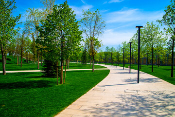 Walking path in a city park with urban lights or lanterns