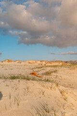 Red naranja de pesca tirada en las dunas de una playa con luz de atardecer