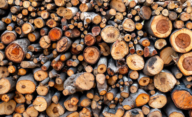 abstract wood log background close-up.Wall of stacked cut tree trunk.