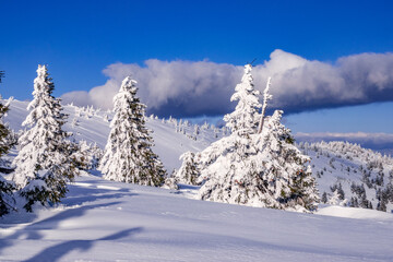 snow covered mountains