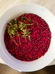 Gifts of the taiga. Wild lingonberry berry.
