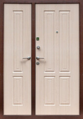 Fototapeta premium Model of entrance metal door isolated on white background