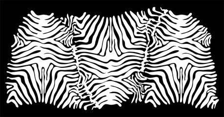 Zebra skin background. Animal print.