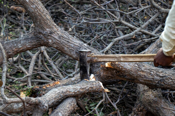 Close-up of woodcutter axe in motion, bring down trees concept