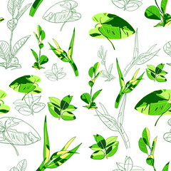 Green leaves on a white background. Seamless pattern with leaves.