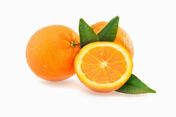 Orangen citrus fruits in group isolated on white