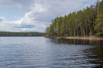 View of The Repovesi National Park, lake and forest, Kouvola, Finland