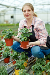 Woman farmer gardening on plantation, taking care of tomato seedlings