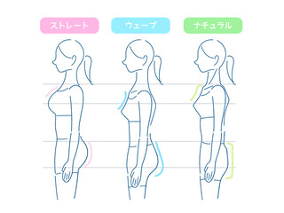 骨格タイプ診断のイラスト　比較戦あり
