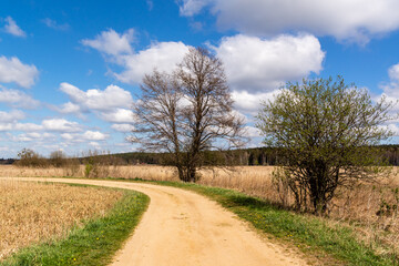 Fototapeta na wymiar Wiosna w dolinie rzeki Supraśl, Podlasie, Polska