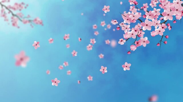 CHERRY PINK FLOWER BLOSSOM. SPRING ANIMATION. FLYING PETAL