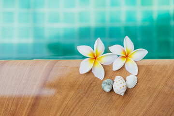 Fototapeta na wymiar Beautiful plumeria flower over blurred pool water background, summer and spring season concept, outdoor day light, spa and wellness background idea
