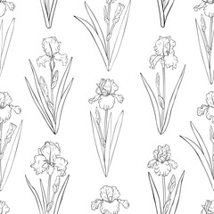 Seamless pattern flowers Irises graphics black and white colors vector illustration