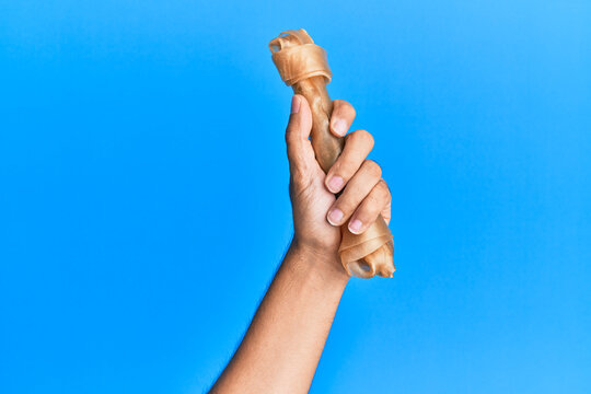 Hand of hispanic man holding dog bone over isolated blue background.