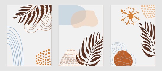 Fototapeta na wymiar Set of trending templates, abstract shapes and botanical elements, palm leaf, exotic plants, minimalism, hand drawn. Poster, room interior decor, design for textiles, postcard, concept, Vector