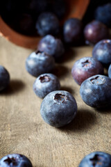 Blueberries close up