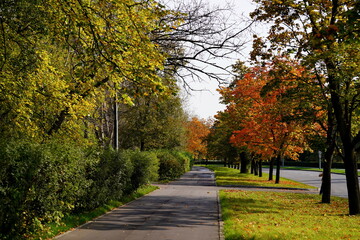 Naklejka premium Nice weather in the autumn city park.