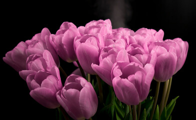 Obraz na płótnie Canvas A bouquet of purple tulips on a black background.
