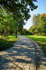 Paths in the autumn city park.