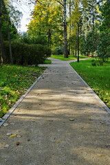 Fototapeta na wymiar Paths in the autumn city park.