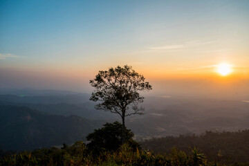 The natural view with morning light,sunrise view