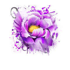 Watercolor violet Peony flower. Paeonia suffruticosa isolated on white background. Important symbol of Chinese culture. Moutan or Chinese tree peony. Species of peony native to China.