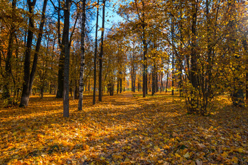 View of city park