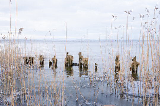 Alte Buhnen bei Grambin Stettiner Haff