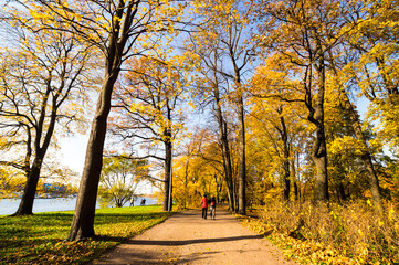 View of city park in autumn