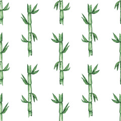 Bamboo seamless pattern on a white background. Watercolor bamboo branch endless print. Hand-drawn Asian garden tree illustration. Green wallpaper for your design.