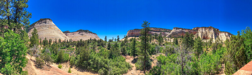 Zion National Park, Utah. Mountains and trees on a sunny summer day - Panoramic view