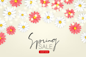 Spring sale banner. White and pink daisy flowers on beige background and garland lights. Vector illustration.