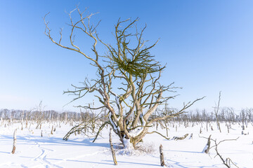 Naturschutzgebiet Gahlenbecker See