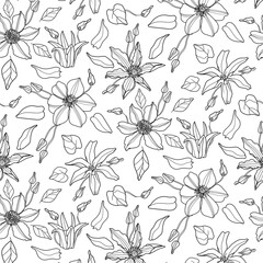 Clematis Flower line art vector pattern. Black and white spring background for wallpaper, textile, wrapping paper