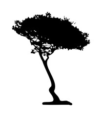 silhouette pin parasol © ascain64
