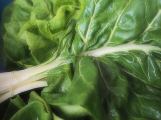 Mangold Beta vulgaris. Biennial herb, a subspecies of common beet. Fortified green lettuce leaves....