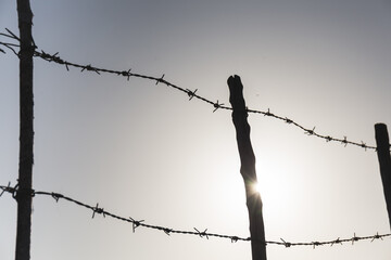 barbed wire fence in the field