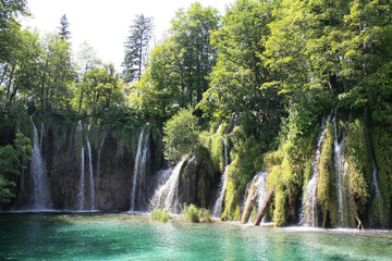 Fototapeta na wymiar Waterfall, Plitvice Lakes, Croatia, Europe. Ponds and falls in the green vegetation