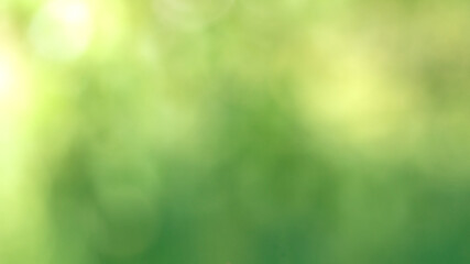 Natural green leaves blurred background with beautiful bokeh