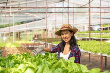 Asian woman farmers working in vegetables hydroponic farm with happiness