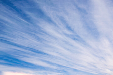 Fototapeta premium Beautiful sky background with picturesque cirrus clouds