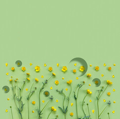 Abstract crazy background with beautiful yellow buttercup flowers.