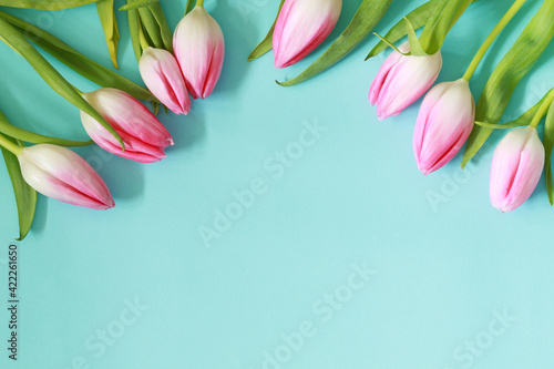 beautiful pink tulip flowers on pastel blue background, mother day template, mockup with flowers