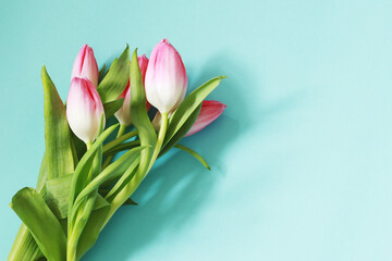 beautiful pink tulip flowers on pastel blue background, mother day template, mockup with flowers