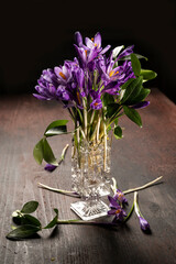 Beautiful violet crocus flowers in vase