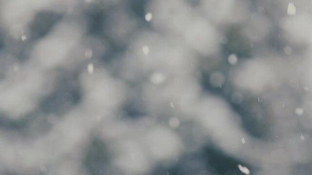 Slow motion of falling snow. Blurred winter background. Snowing dream. Winter cold weather