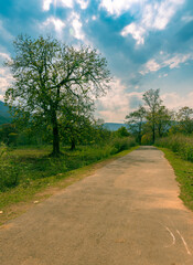 Fototapeta na wymiar Indian Rural State Highway with scenic beauty.