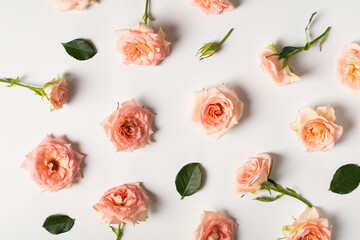 Rose flowers layout with petal and leaf pattern on white background, mothers day