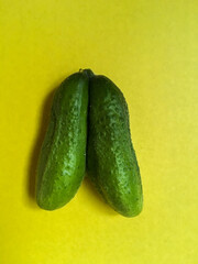 Two coalescent ugly cucumbers isolated on yellow background